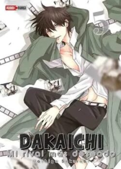 dakaichipanini5