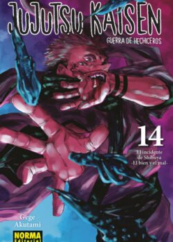 jujutsunorma14