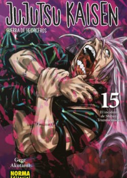jujutsunorma15