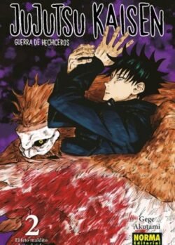 jujutsunorma2