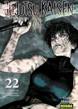 jujutsunorma22