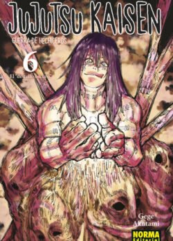 JUJUTSU KAISEN 06
