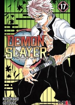 demonslayer 17