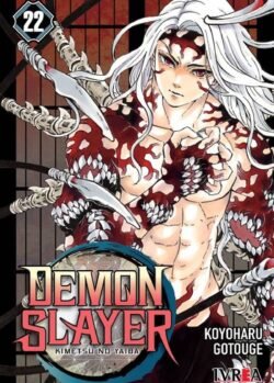 demonslayer 22