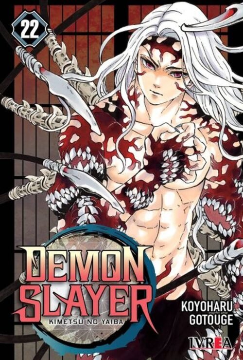 demonslayer 22