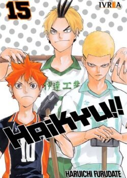 haikyu 15