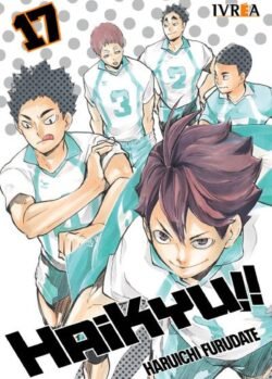HAIKYU!! 17